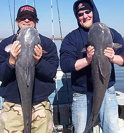Lake Texoma Striper Fishing Guide Stan Constant will get you on monster, trophy blue catfish!